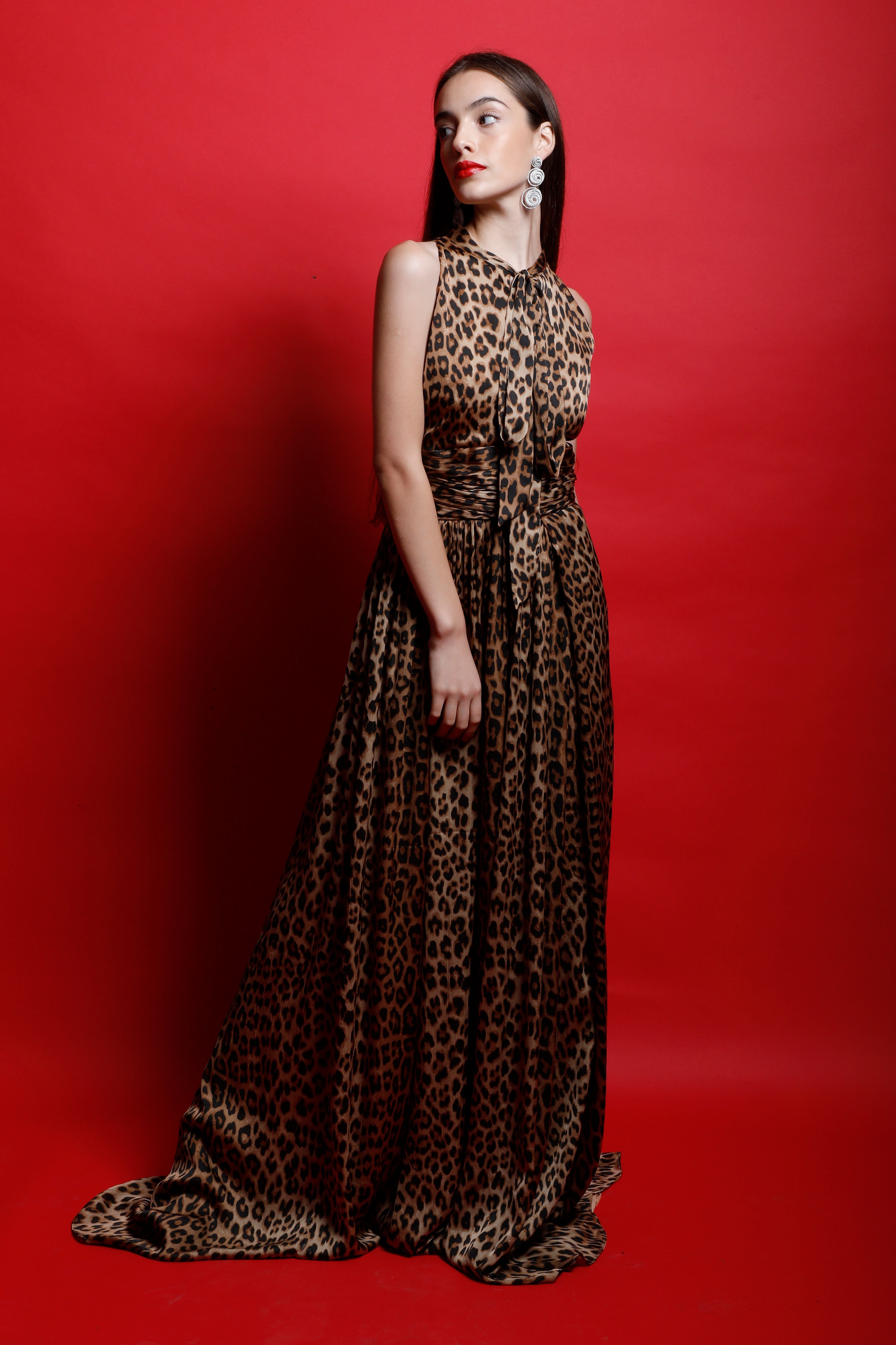 Leopard Print Scarf Collar Maxi