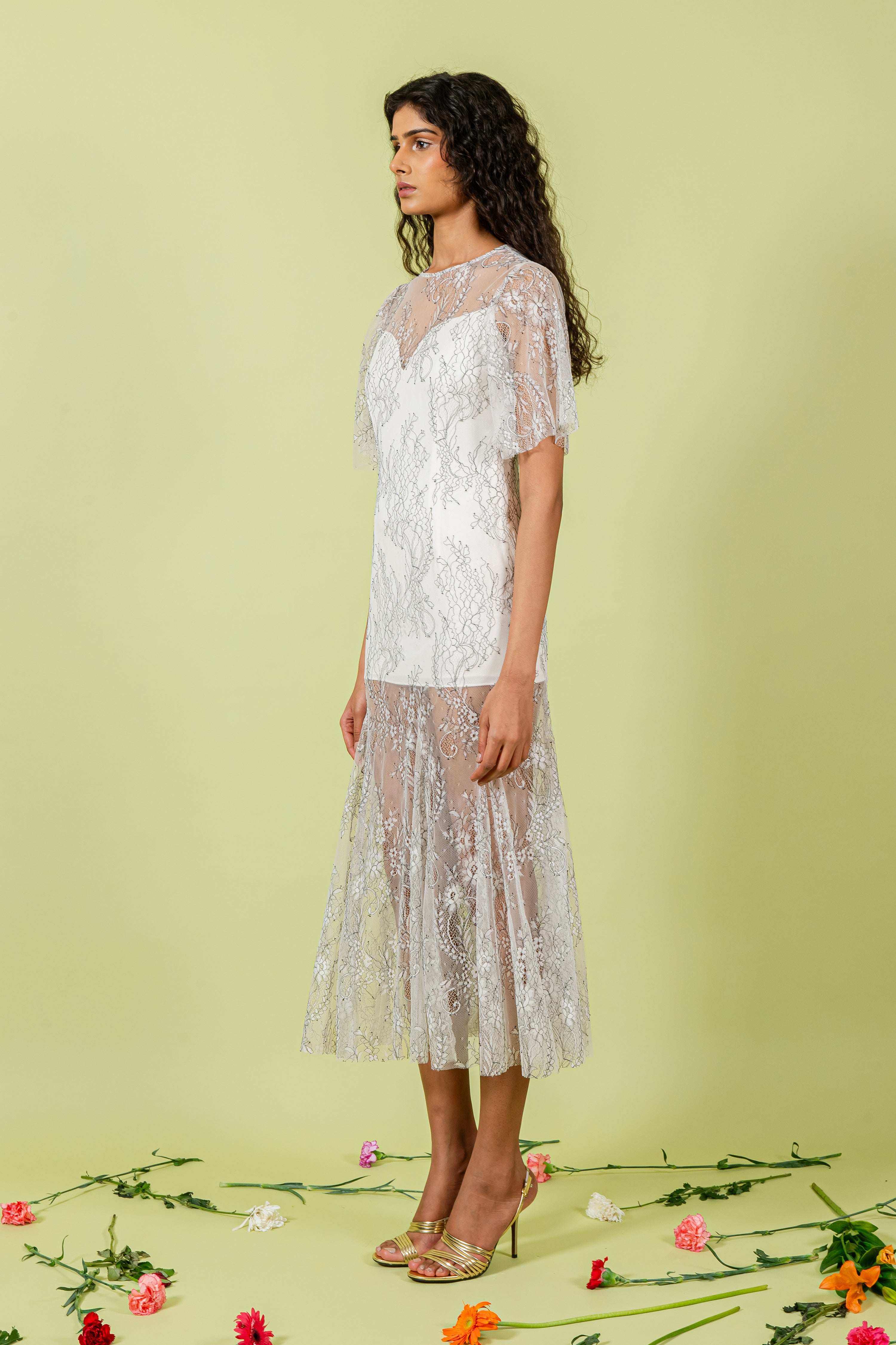 B&W Shaded Sheer Lace Dress with Micro Body