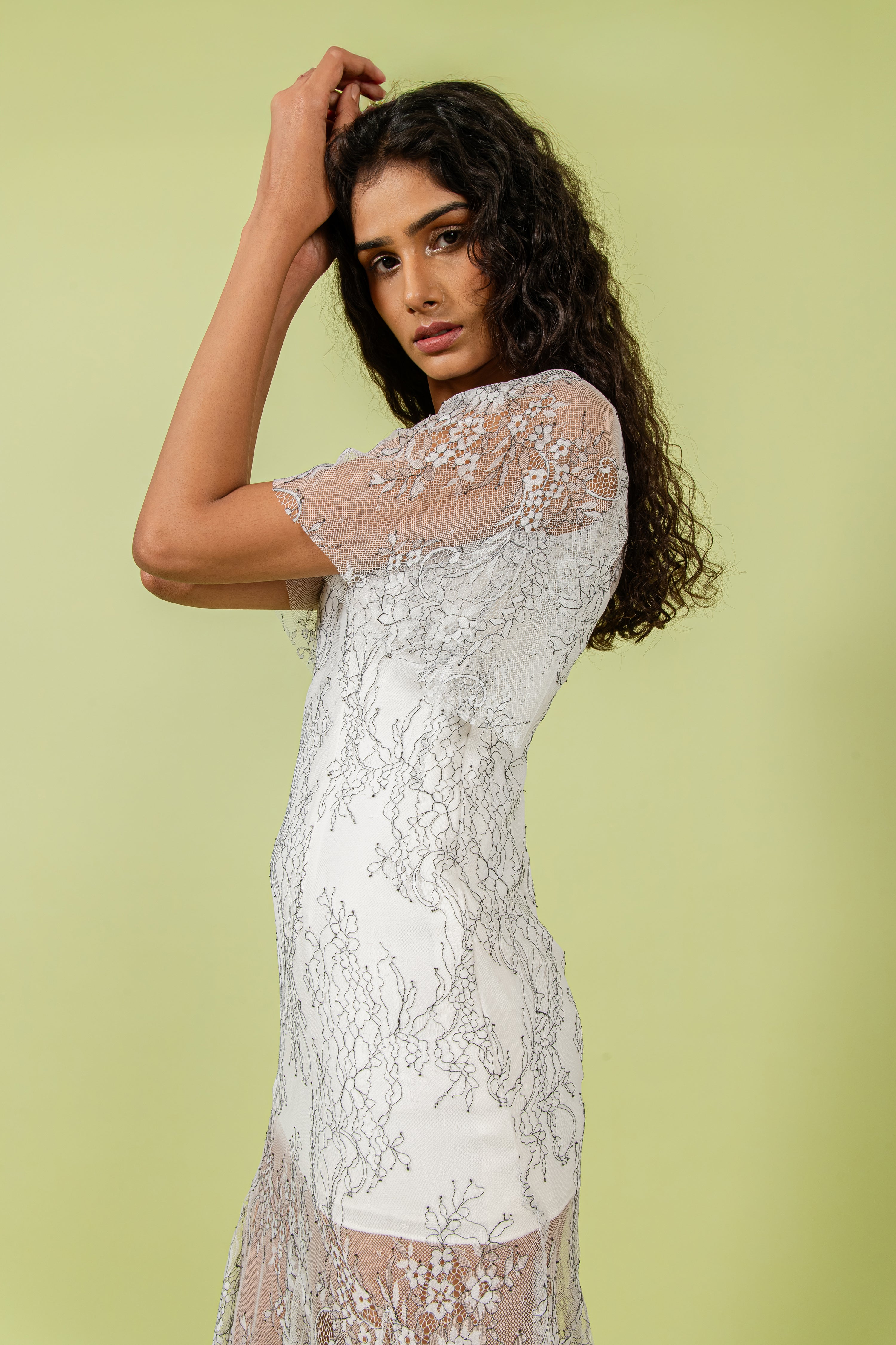 B&W Shaded Sheer Lace Dress with Micro Body