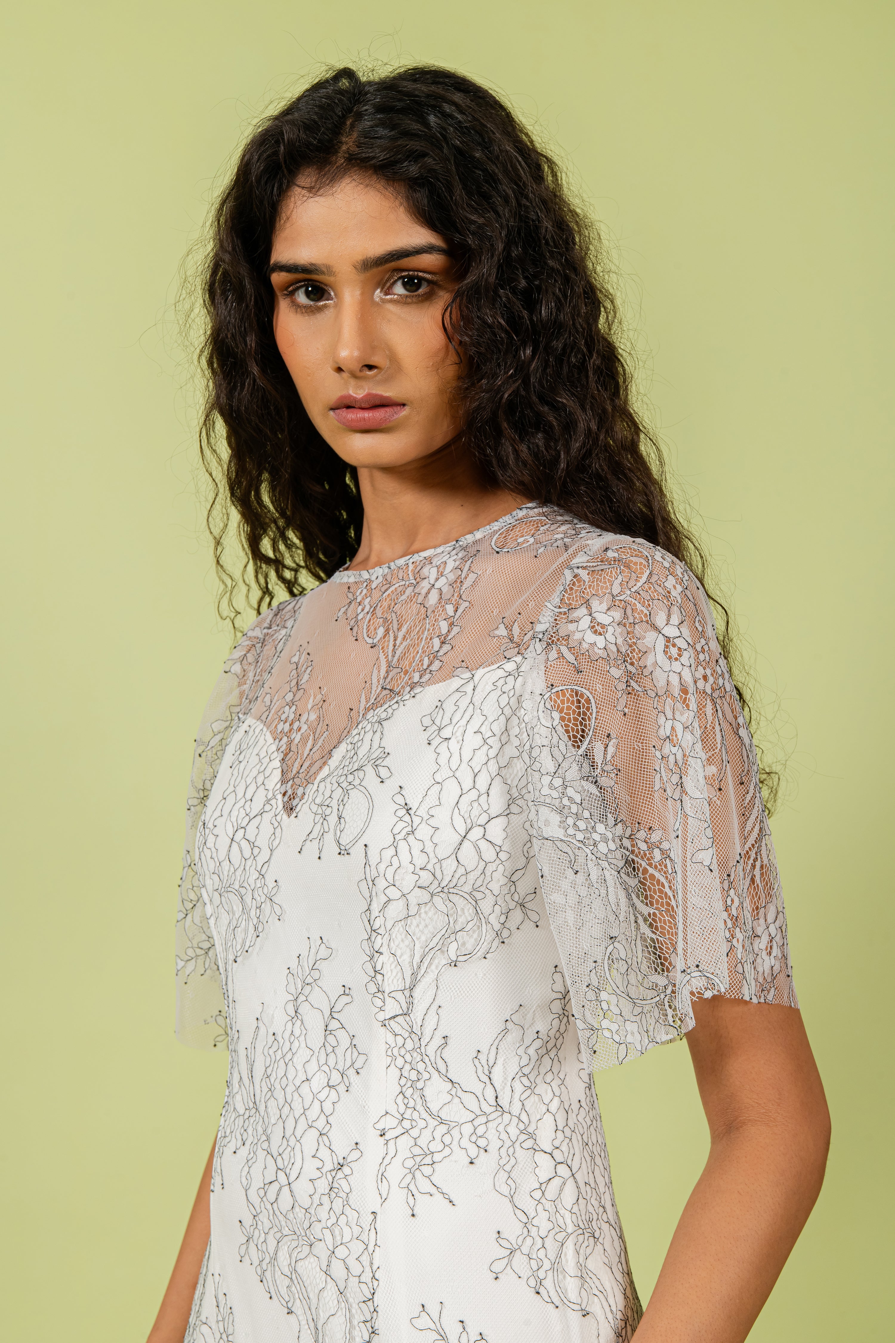B&W Shaded Sheer Lace Dress with Micro Body
