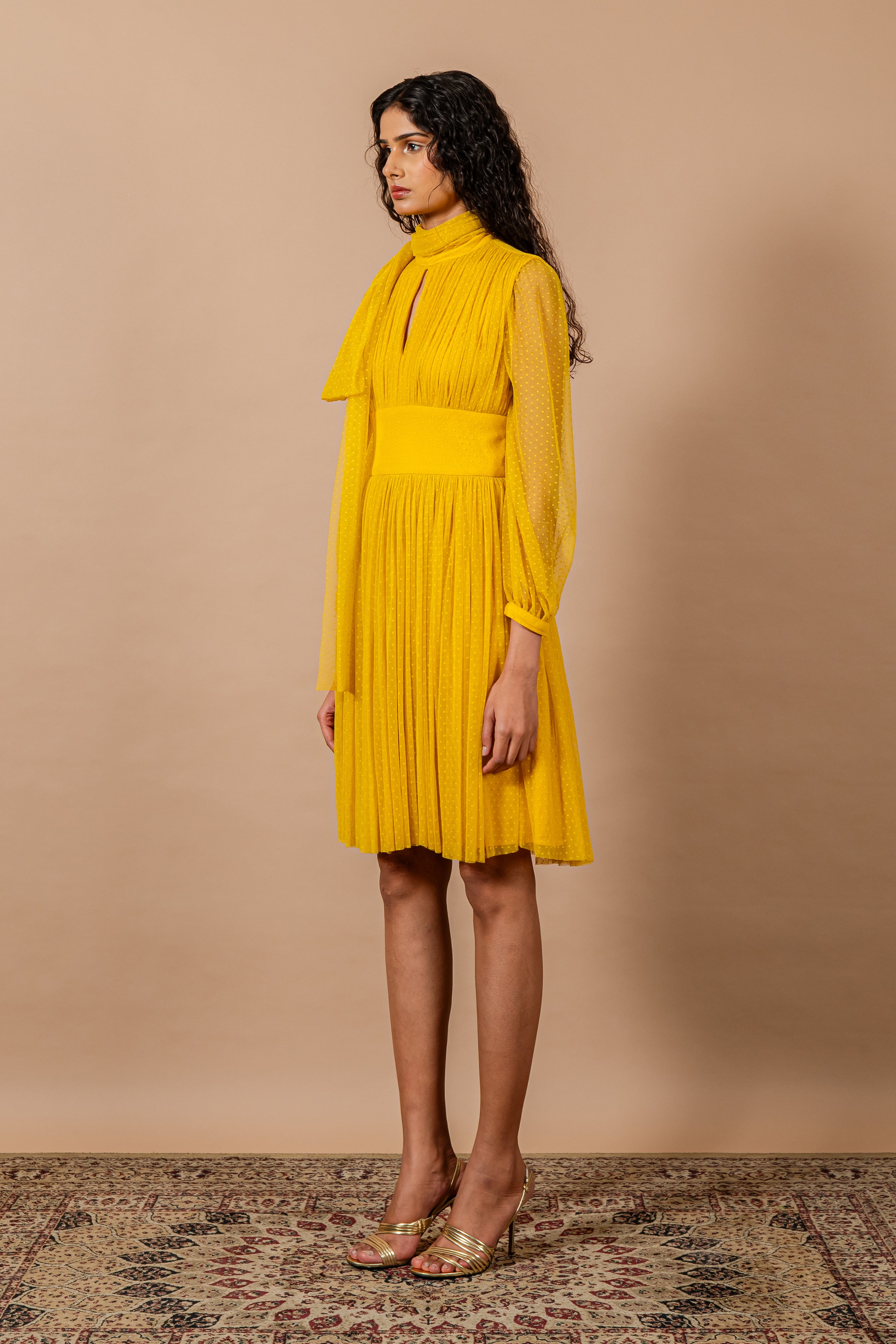 Yellow Band Neck Split Neck Tie Up Polka Lace Dress