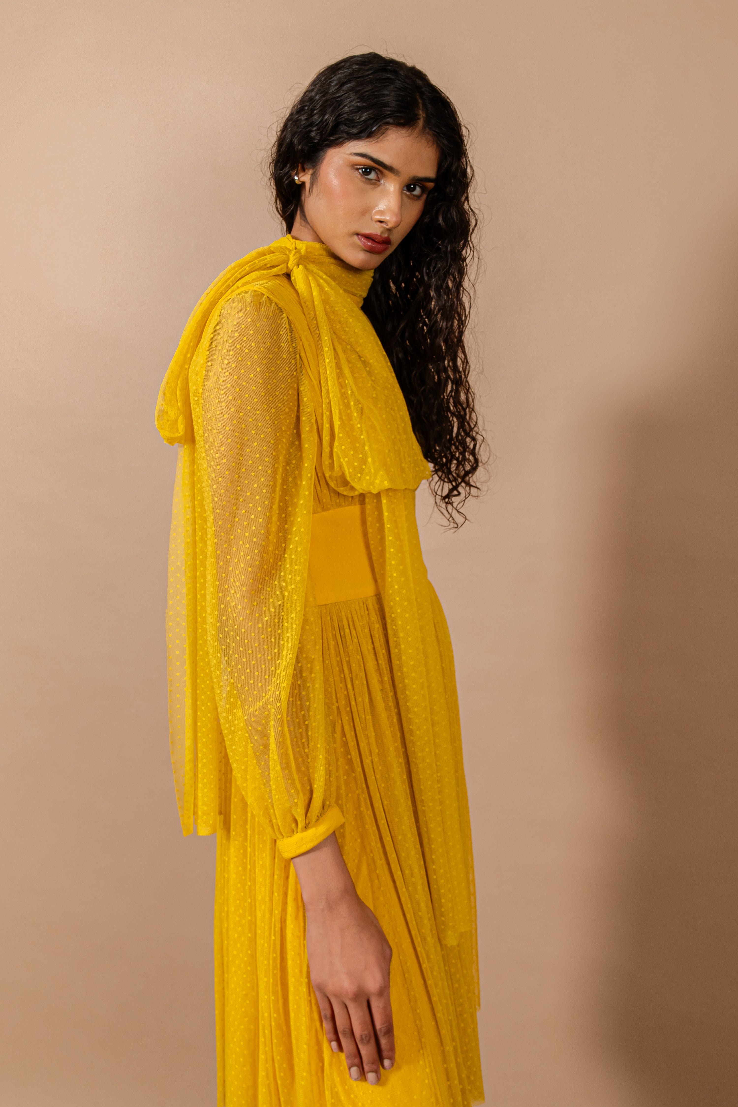 Yellow Band Neck Split Neck Tie Up Polka Lace Dress