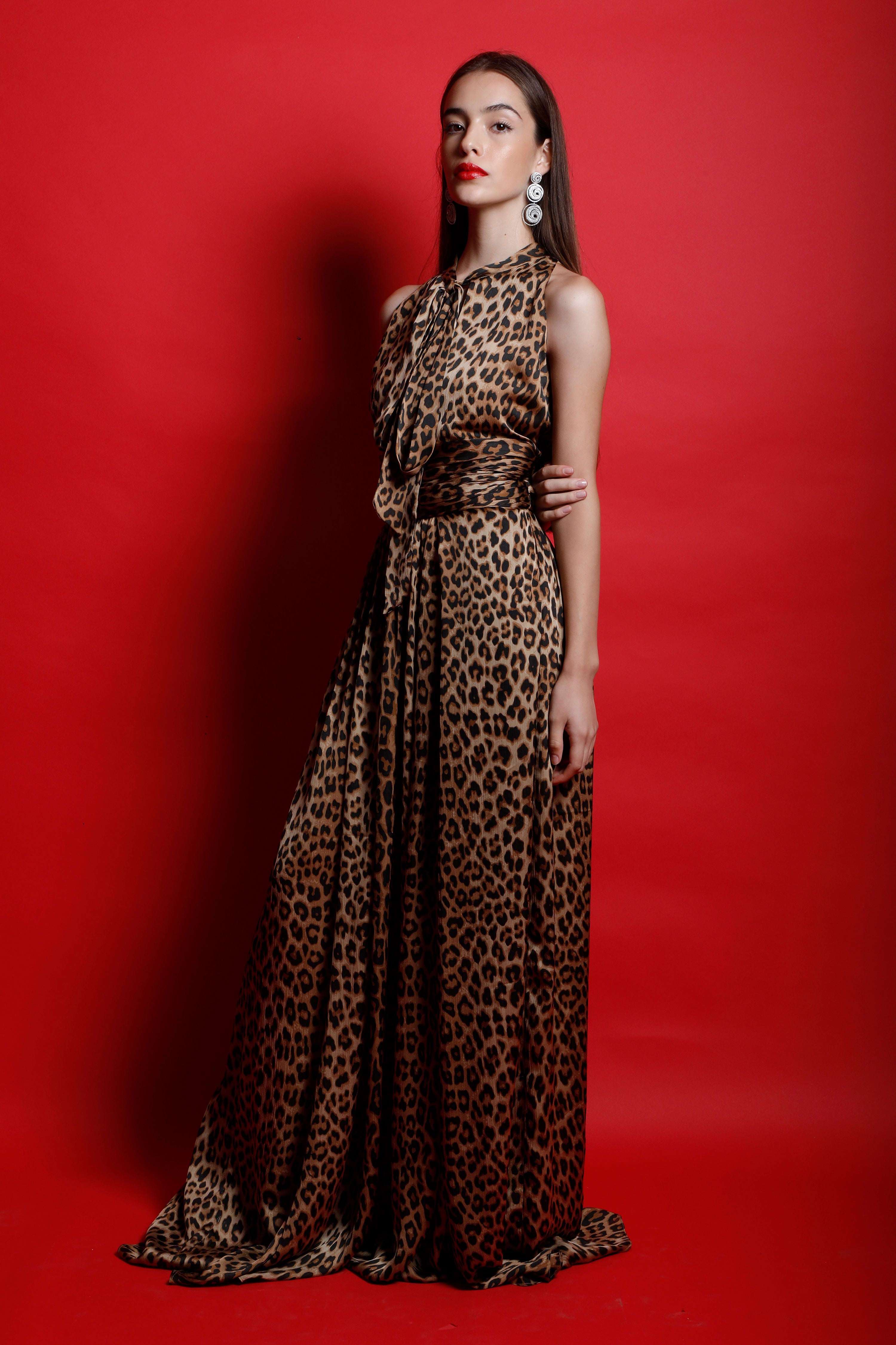 Leopard Print Scarf Collar Maxi